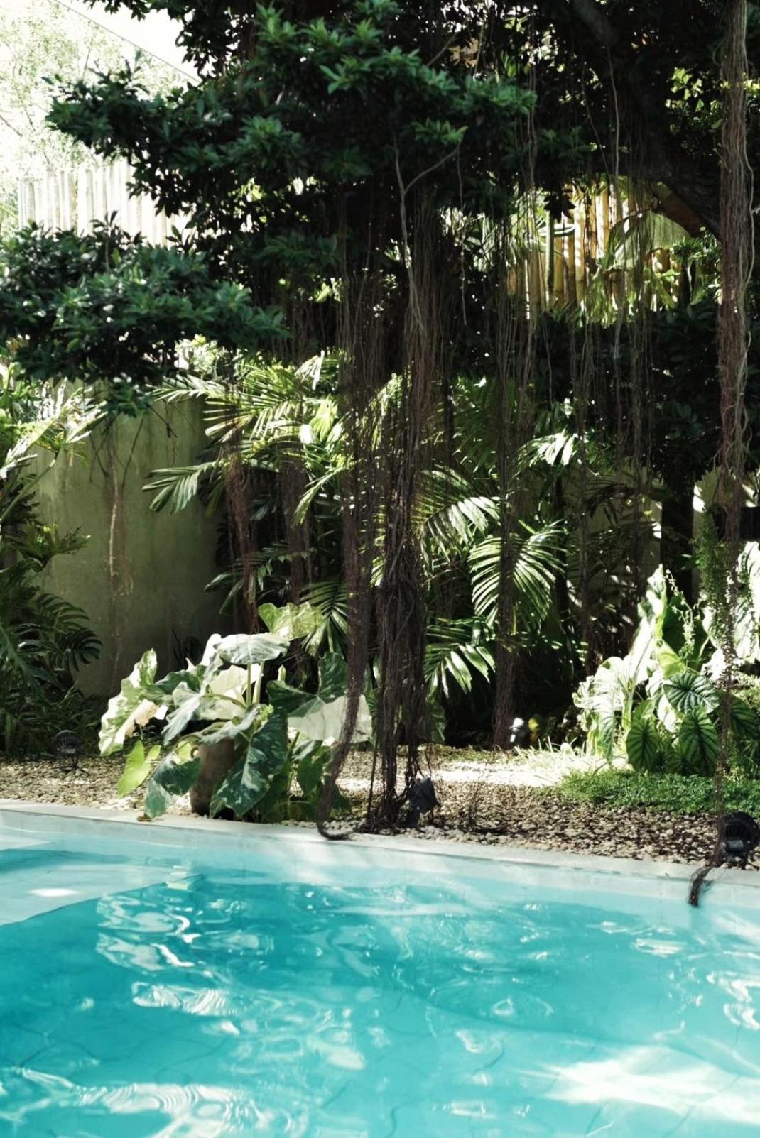 Banyan Villa Panglao With Private Pool Экстерьер фото